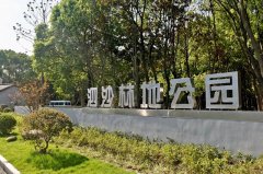 
江苏省第二中医院黄牛代挂号,住院检查加快青浦这处新建的林地公园太美了